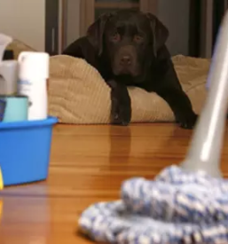 Ciscenje poslovnih prostorov in objektov slovenija