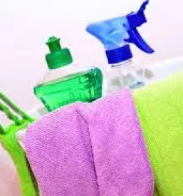 Eko ciscenje brez kemikalij slovenija