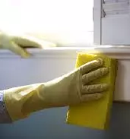 Eko ciscenje brez kemikalij slovenija