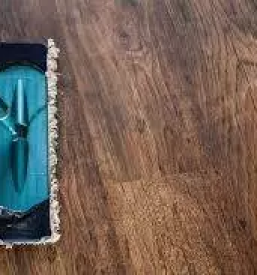 Izobrazevanje eko sola ciscenja sloveniji