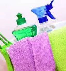 Izobrazevanje eko sola ciscenja sloveniji