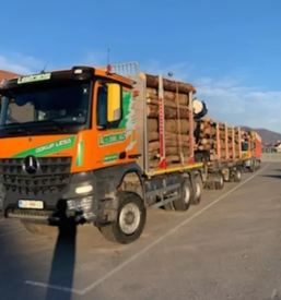 Odkupi lesa v Sloveniji