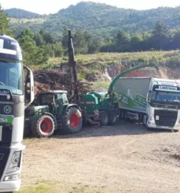 Odkupi lesa Slovenija