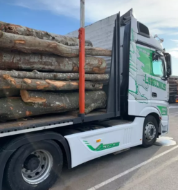 Dober odkup lesa v sloveniji