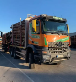 Prevoz hlodovine čez mejo Slovenija