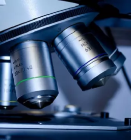 Raziskovalni center Koper