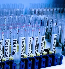 Raziskovalni in razvojni center Primorska