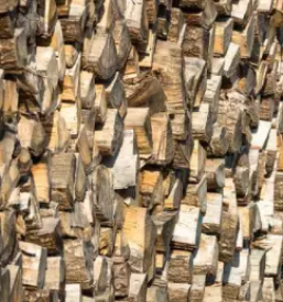 Razrez lesa ljubljana osrednja slovenija