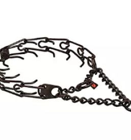 Specialne pasje ovratnice savinjska