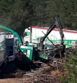 Transport lesa Slovenija