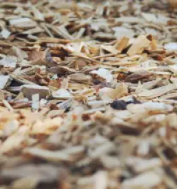 Ugodna prodaja biomase ljubljana okolica