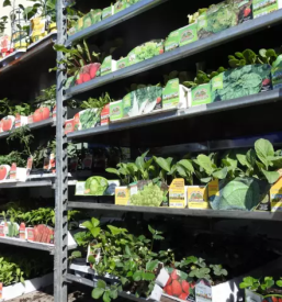 Zeleni program dolenjska