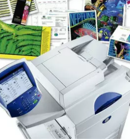 Deklariranje blaga ljubljana