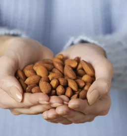 Dobri ekološki mandlji Koper