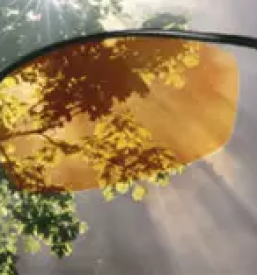 Optika ljubljana center