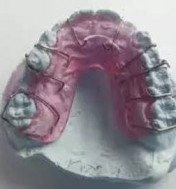 Ortodont krsko
