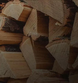 Hiter prevoz hlodovine Slovenija, tujina