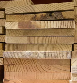 prodaja lesa Savinjska