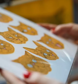 Ugoden promocijski material Štajerska