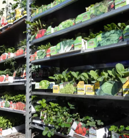 Bela tehnika in pohištvo, zeleni program Šentjernej