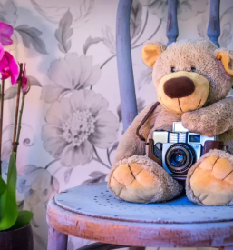 Družinske fotografije Ljubljana