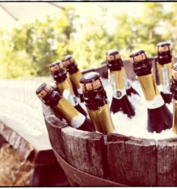 Fotografiranje različnih prireditev Domžale