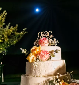 Kvalitetno fotografiranje prireditev Domžale