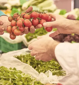 Great lunch ljubljana center