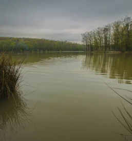 Čiščenje odpadne vode Pomurje