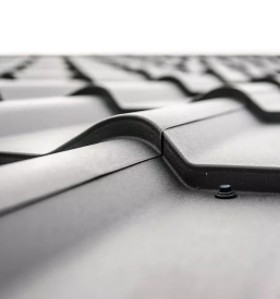 Ugoden krovec Bela krajina