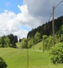 Visinska dela slovenija