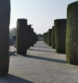 Zemeljska dela ljubljan