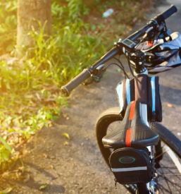 Izposoja elektricnih koles bled