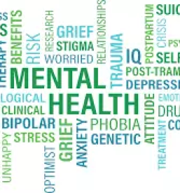 Pomoc v stiski murska sobota