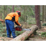 Gozdarstvo Šilc s.p.