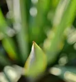 Svetovanje na podrocju ekologije in naravovarstva slovenija