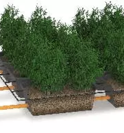 Bioloske cistilne naprave savinjska