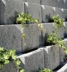 Cepljeni zidaki koroska