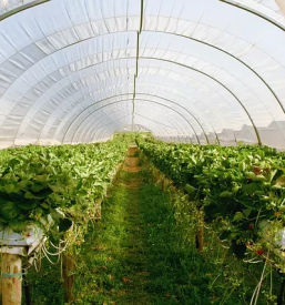 Električno talno gretje Ljubljana, Slovenija