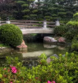 Individualna psihoterapija murska sobota