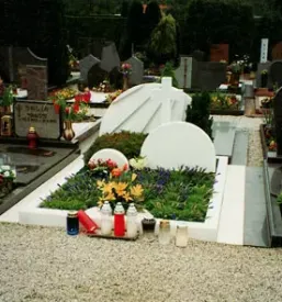 Kamnosestvo primorska