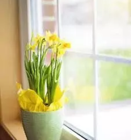 Montaža stavbnega pohištva Savinjska- mojstri svojega poklica