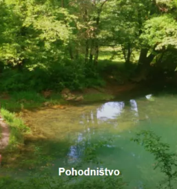 Najboljsi hotel divaca