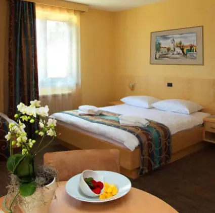 Najboljši hotel Divača