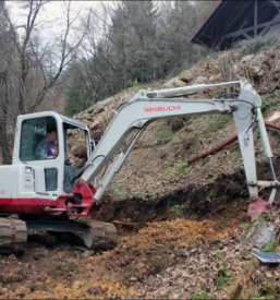Posek in odkup lesa gorenjska