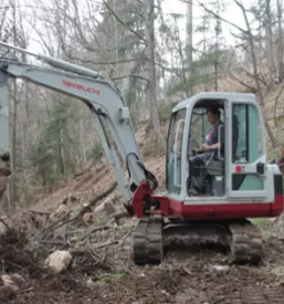 Posek in odkup lesa gorenjska