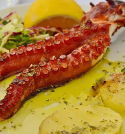 Dobra morska hrana v restavraciji Kras