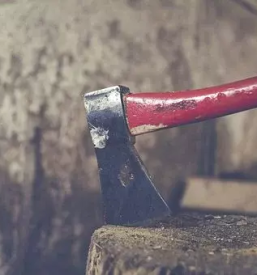 Secnja in spravilo lesa slovenija