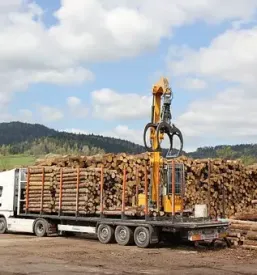 Secnja in spravilo lesa slovenija