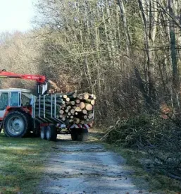Secnja in spravilo lesa slovenija
